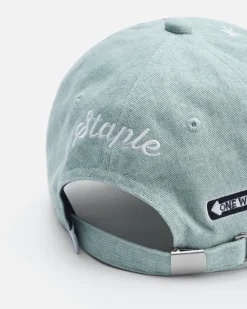 NY Icons Cap