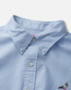Pigeon Oxford Shirt