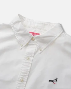 Pigeon Oxford Shirt