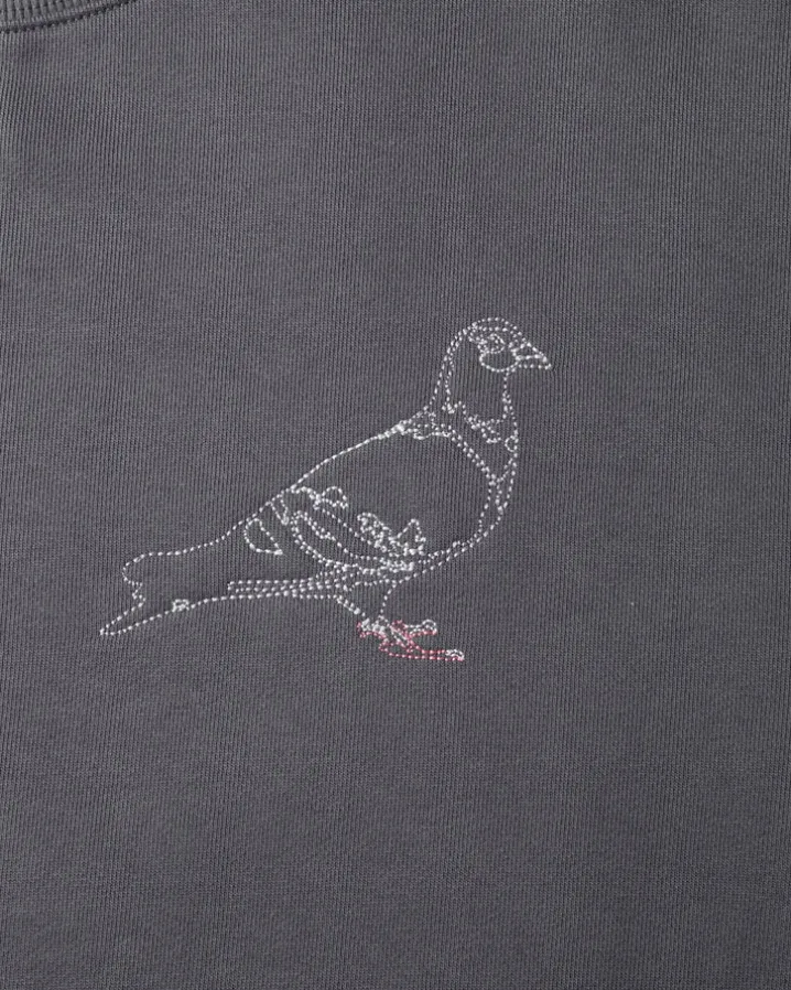 St Johns Pigeon Crewneck