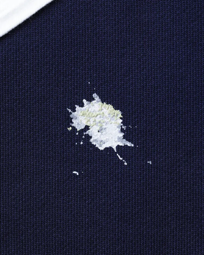 St Johns Pigeon Crewneck