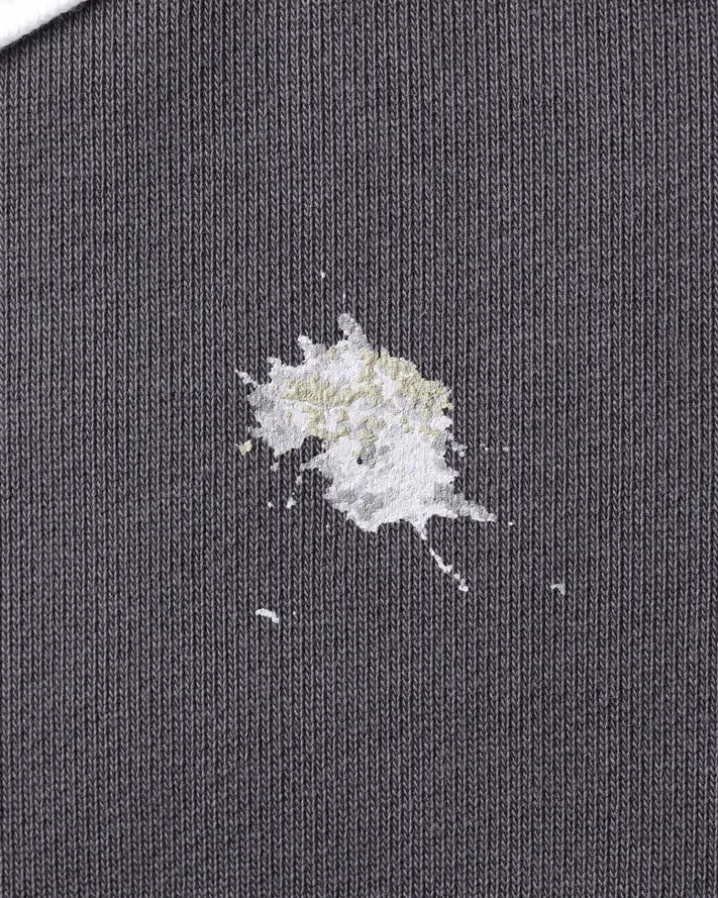 St Johns Pigeon Crewneck